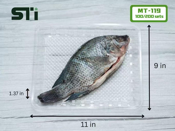 MT-119 Clear 11 x 9x1 1/4