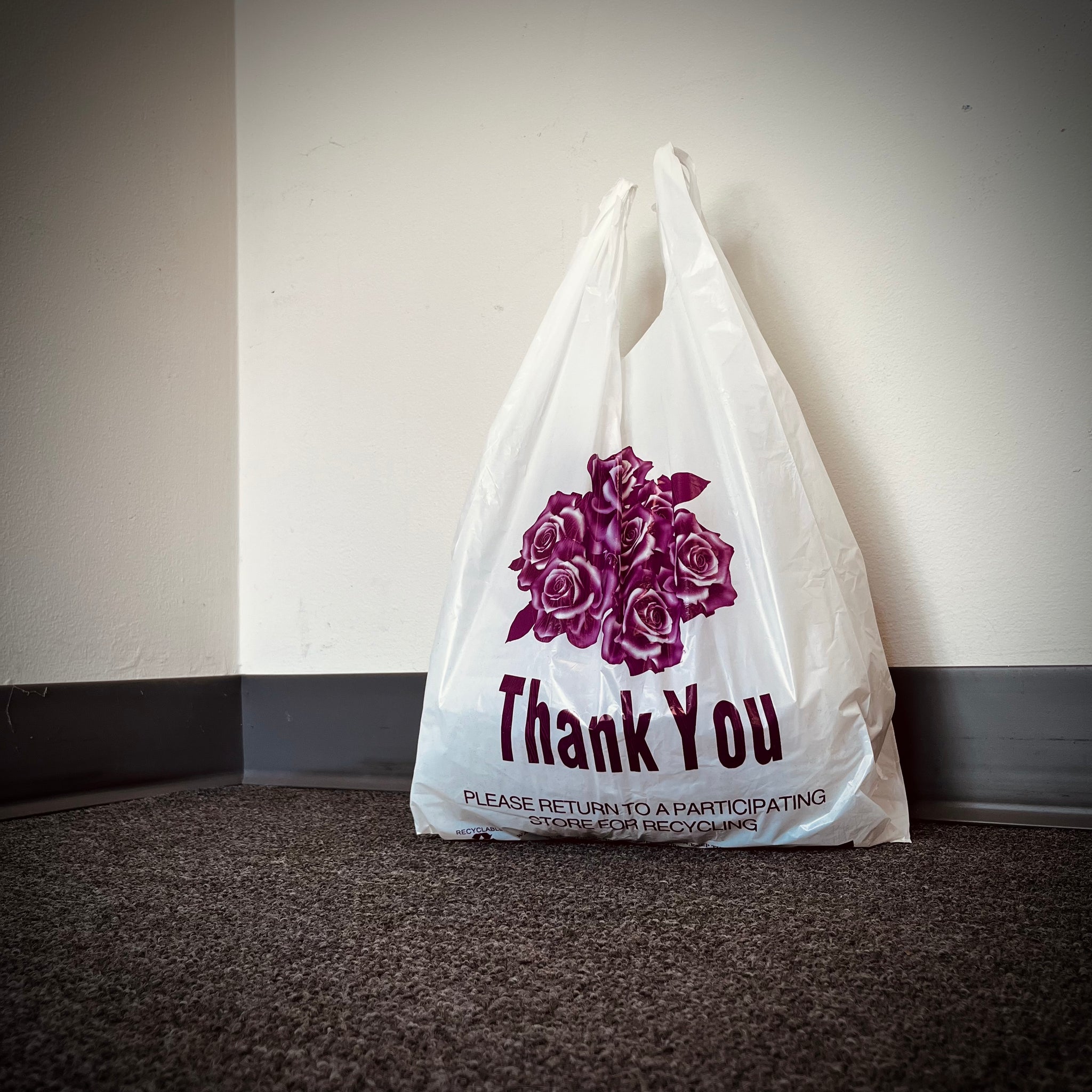 Thank You T Shirt Bags White Grocery Shopping Bag Restaurants C ST International Supply Incorporated