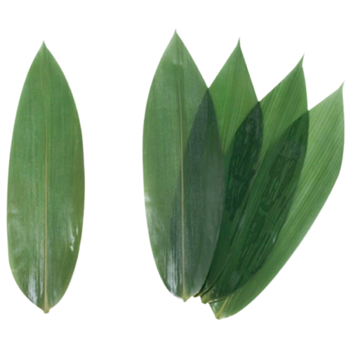 BL-32 Bamboo Leaves Decoration for Sushi Vacuum Packed Fresh 100pcs